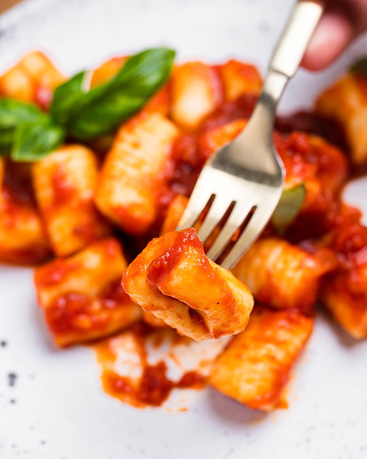 Fork holding one piece of potato gnocchi in tomato sauce.