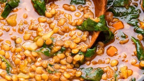 Italian lentil soup featured image.