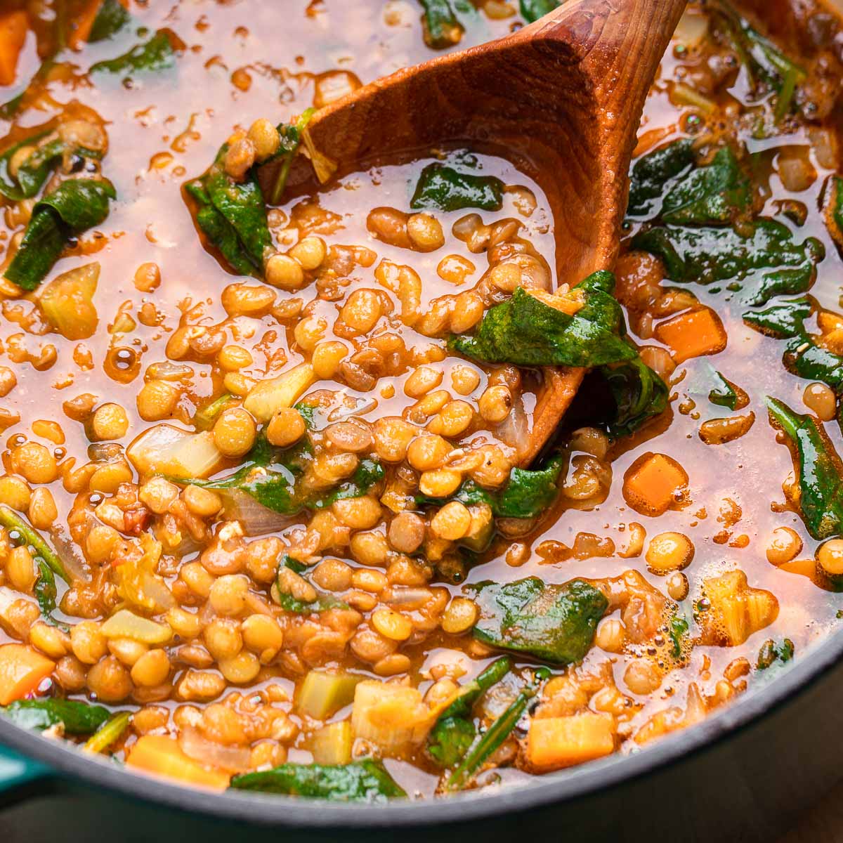 Italian lentil soup featured image.