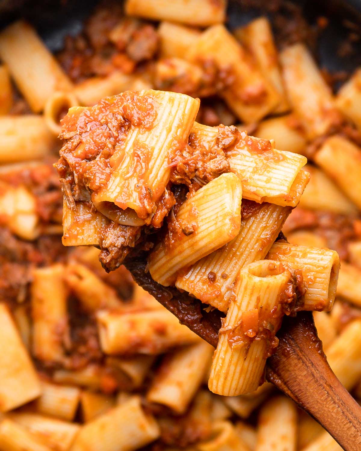 Wooden spoon holding rigatoni with lamb sauce.