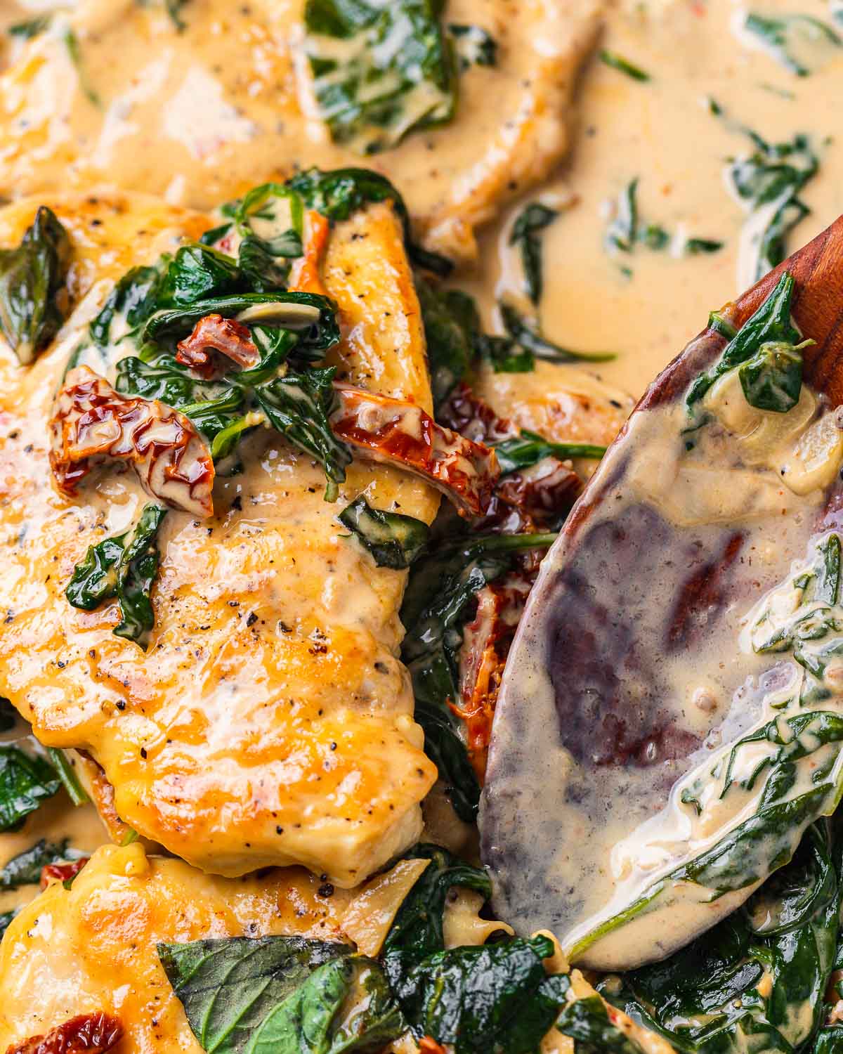 Close up shot of seared chicken with sun dried tomato and spinach cream sauce.