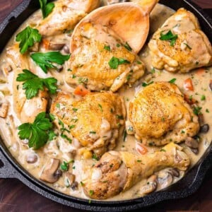 Chicken fricassee recipe featured image.