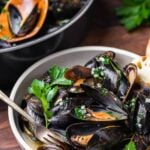 Mussels in white wine sauce Pinterest image.