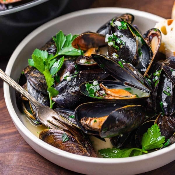 Mussels in white wine sauce featured image.
