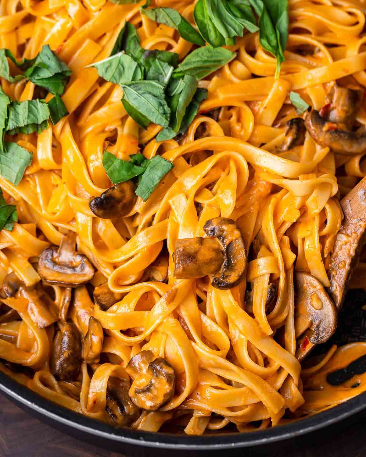 Closeup shot of spicy Calabrian creamy mushroom pasta.