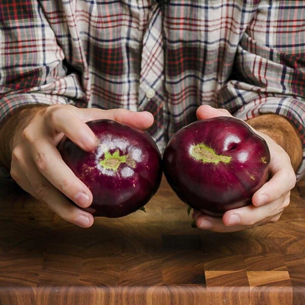 Two eggplants held in hands of supposodely male and female type.