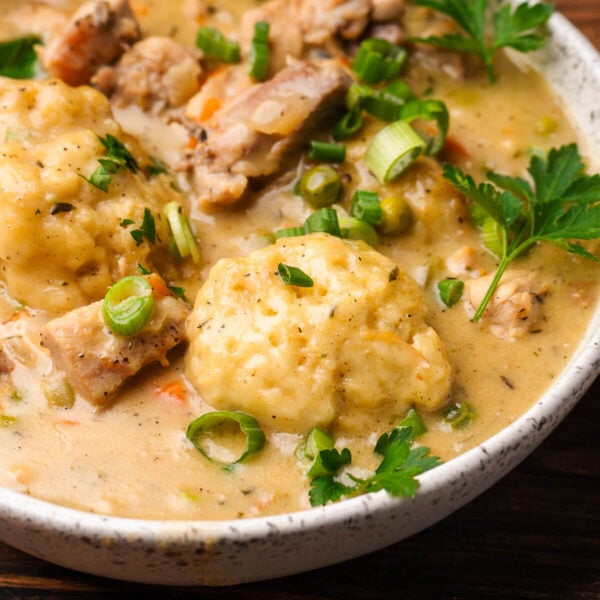 Chicken and dumplings in white bowl.